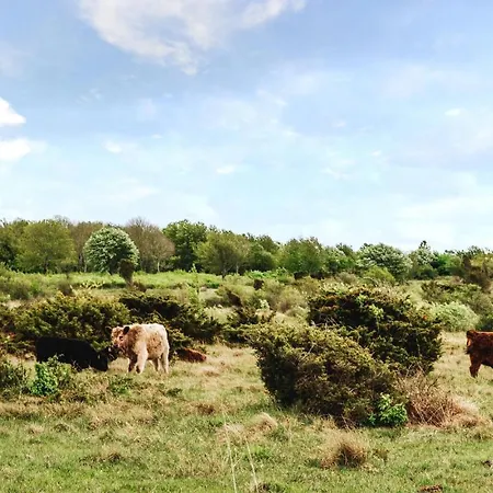 Vakantiehuis Cozy In With Wifi *